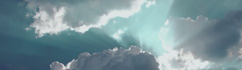 Hommage à nos membres décédé.e.s - Numéro 112